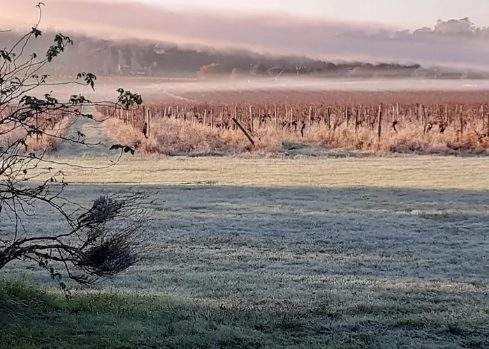 Clair De Vigne Gæstehus 3*